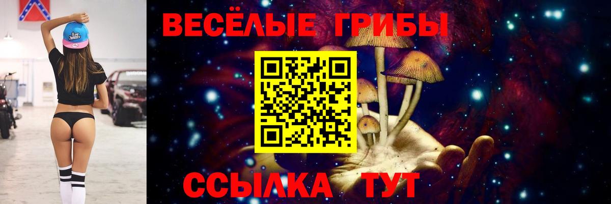 Псилоцибиновые грибы ЛСД Татарск